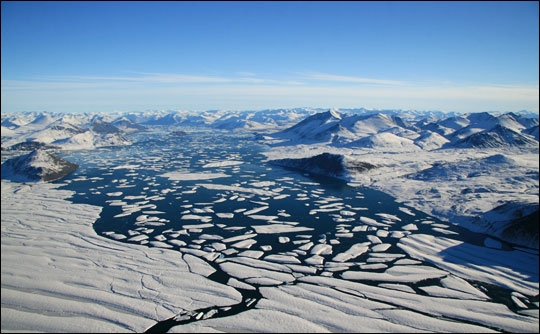 Habitat of the Harp Seal